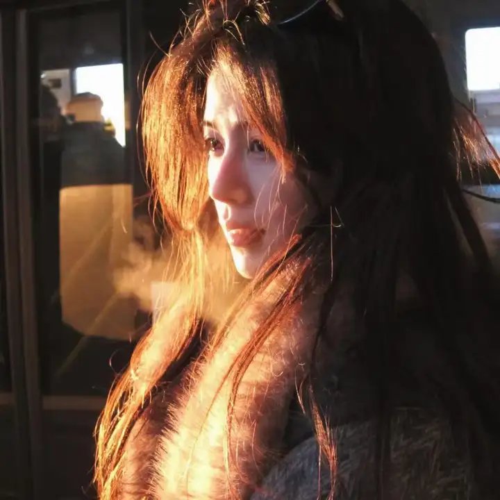艾莉塔:战斗天使